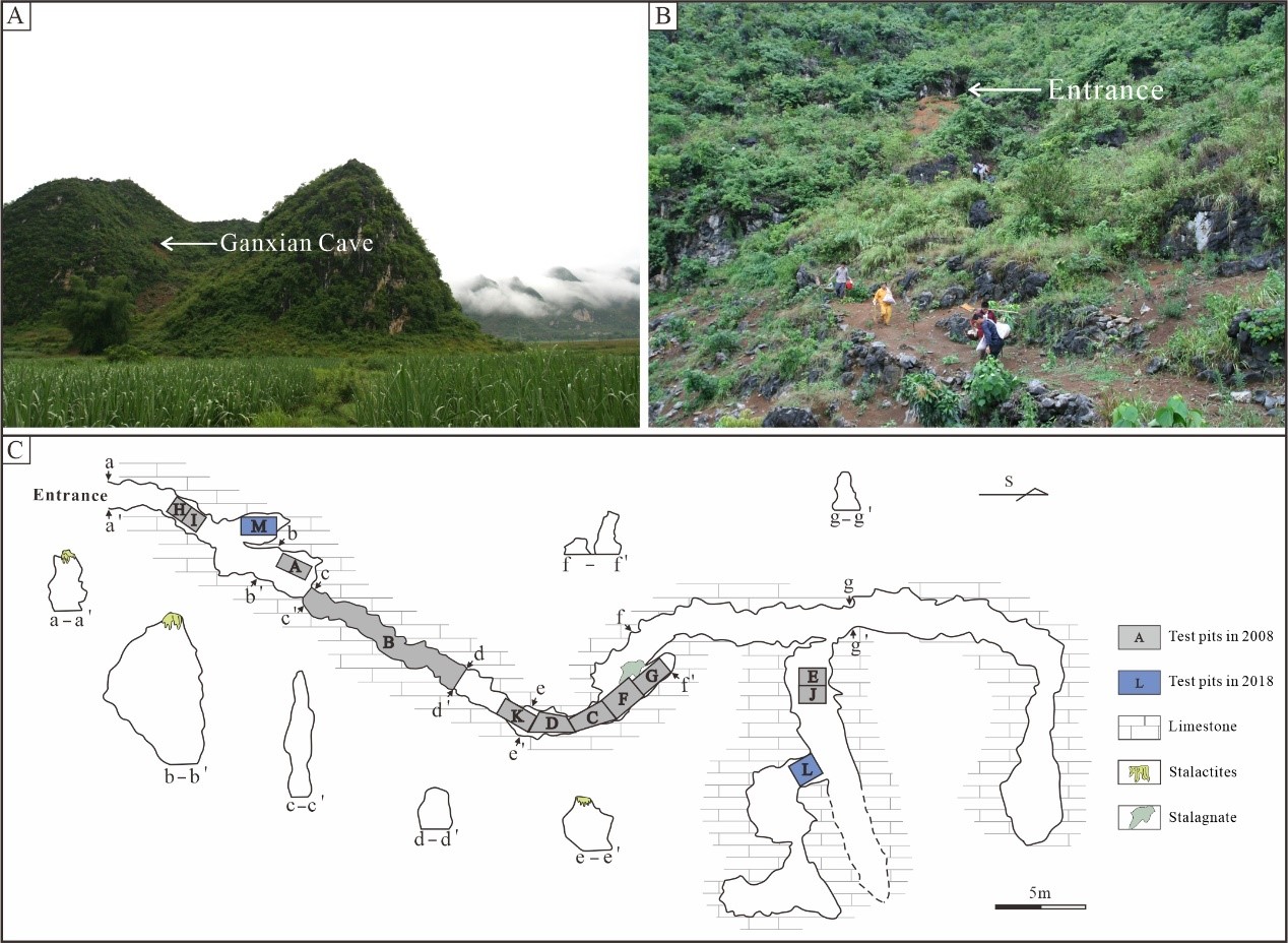 The Institute of Cultural Heritage Discovered the Late Middle Pleistocene Orangutan Fossils in Southern China