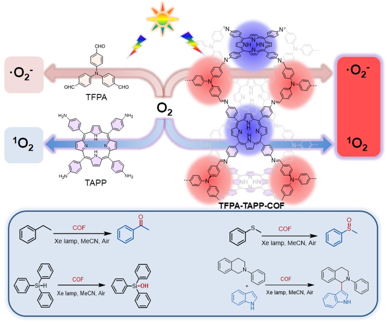 Professor Li Peizhou’s Group Made Significant Progress in Fabrication of Photoactive Covalent Organic Framework for Photocatalytic Oxidations 