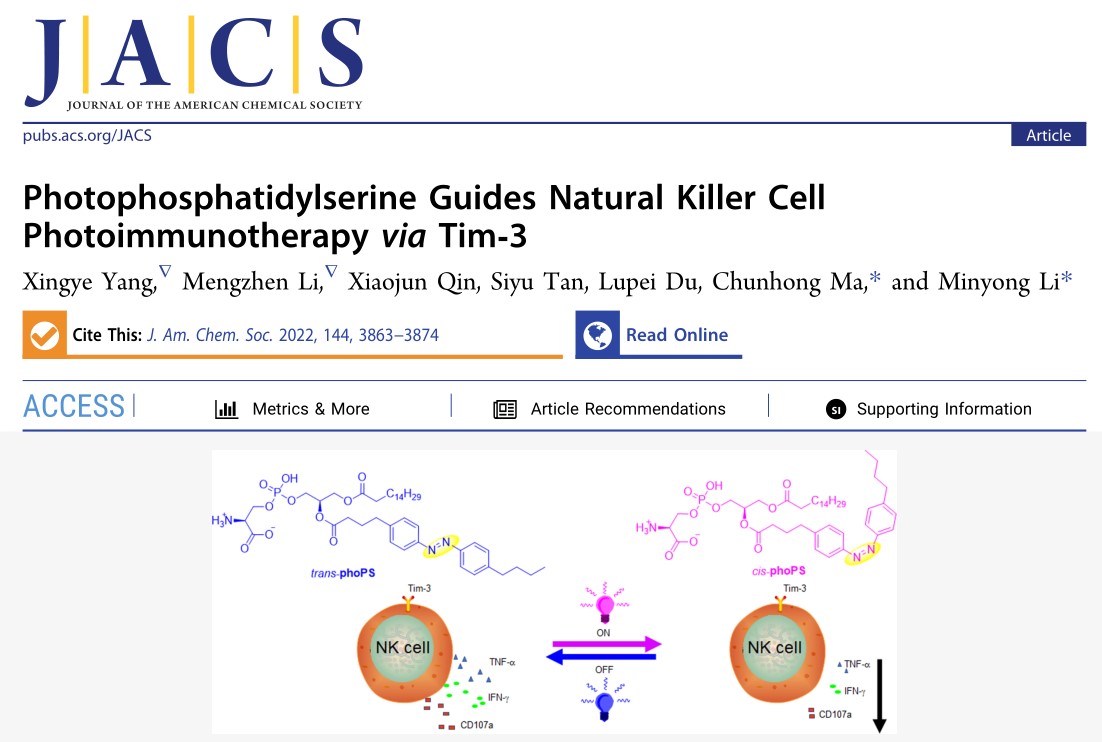 Professors Li Minyong and Ma Chunhong Made New Progress in Optical Controlled Tim-3 Regulation of Natural Killer Cell Immune Response