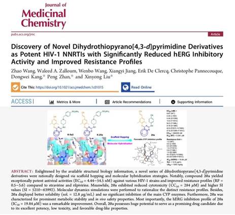 Significant Progress Made by The Liu Xinyong / Zhan Peng Team of Shandong University in The Research of Highly Effective Anti-HIV Drugs