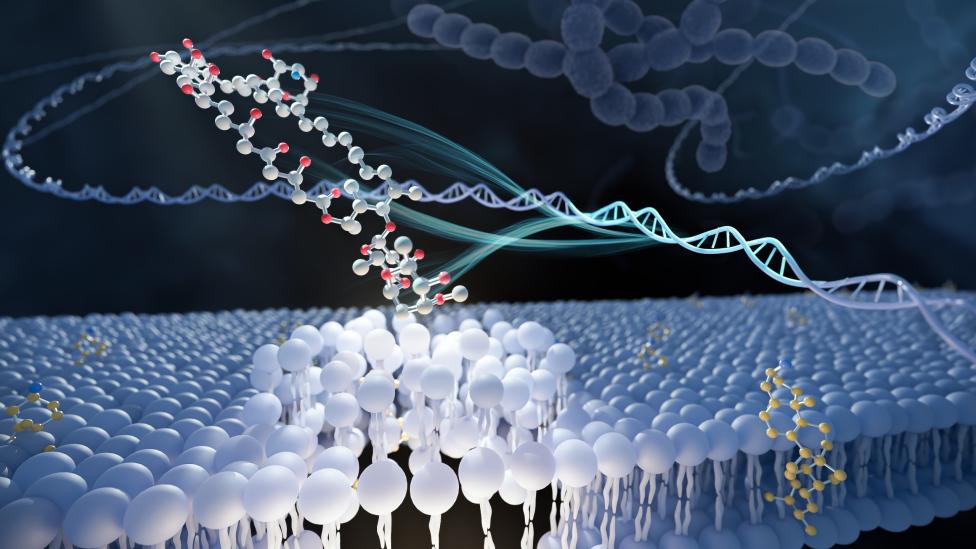 Nature! Professor Shang Zhuo from Shandong University, in Collaboration with China Pharmaceutical University, Discovered a Novel Antibiotic to Combat Drug-Resistant Fungal Infections