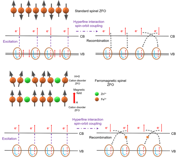 Liu Hong's Group Published New Result of Magnetic field Enhanced Photoelectrochemical Catalytic Water Splitting in ACS Energy Letters