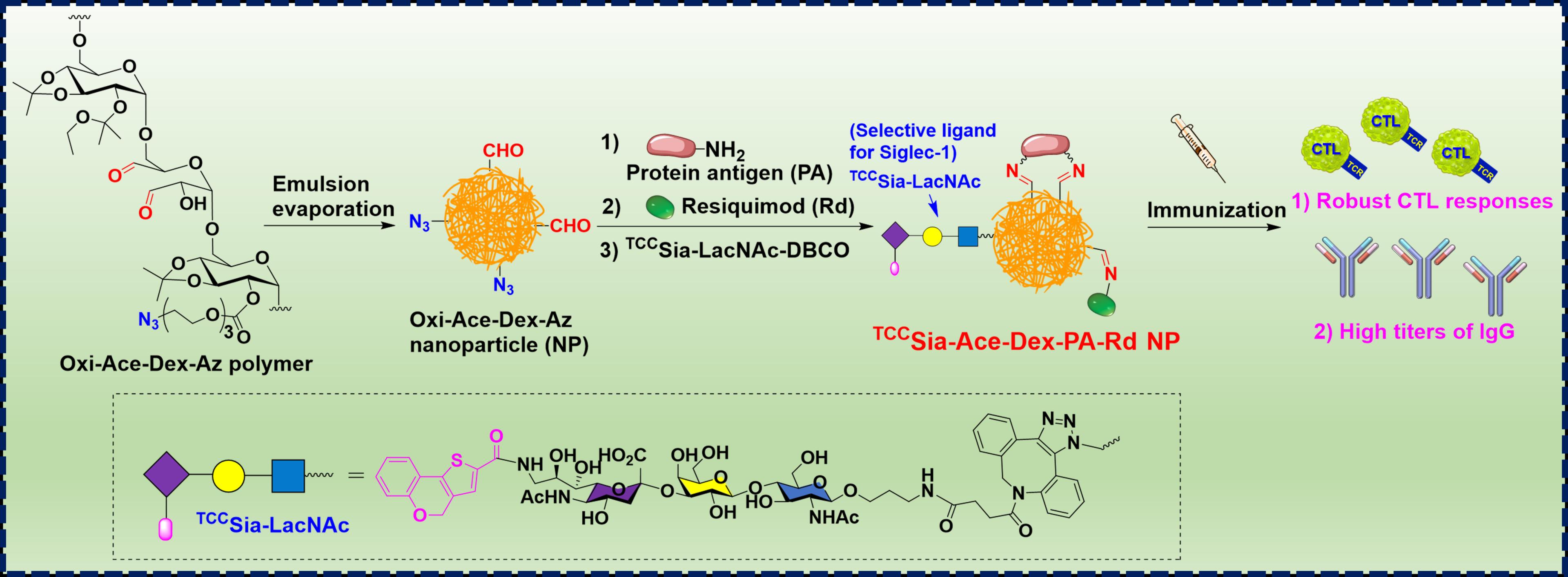 Prof. Wu Xuanjun’s Team at Shandong University Published New Results on a New Generation of Protein-Based Vaccines