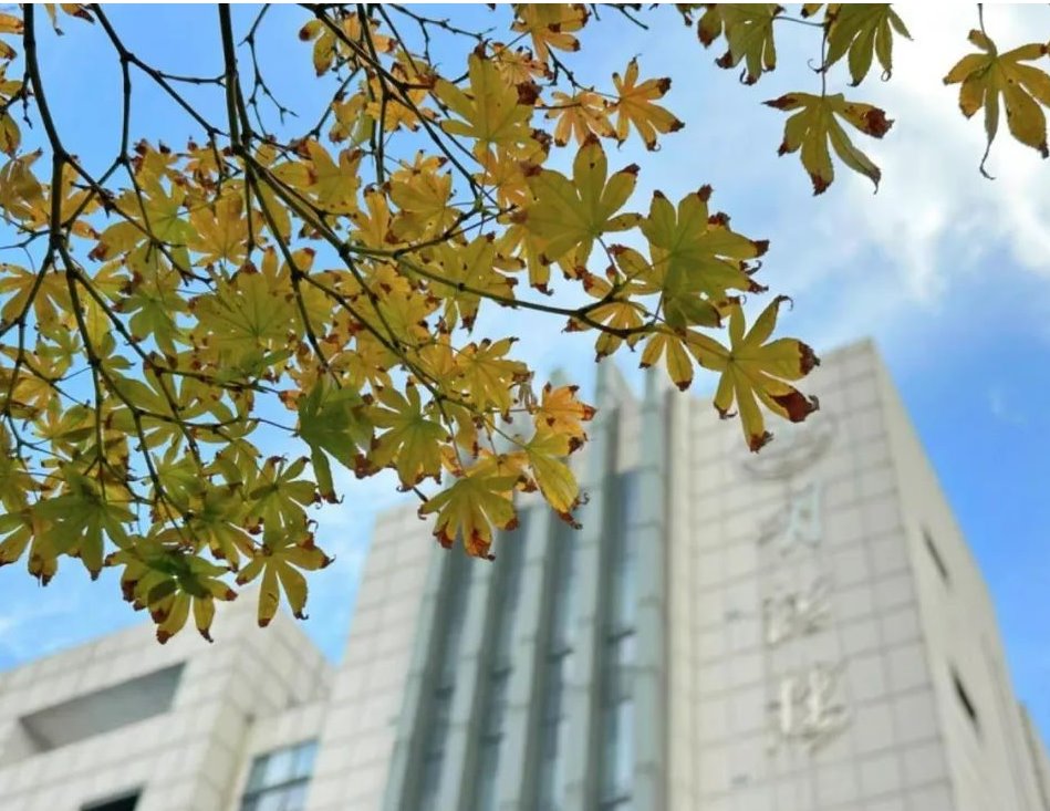 Shandong University looks resplendent at the Start of Winter