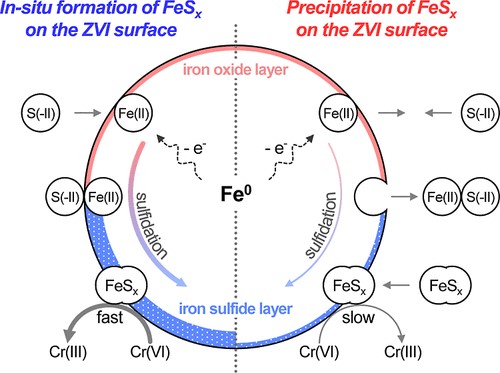 Professor Xu Chunhua's Group Made New Progress in The Control of Hetero-Phase Interface of SZVI