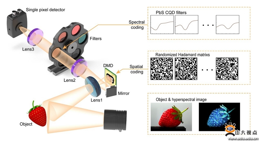 Professor Sun Baoqing's Research Team Achieves a Breakthrough in Single-pixel Imaging Using Quantum Dots