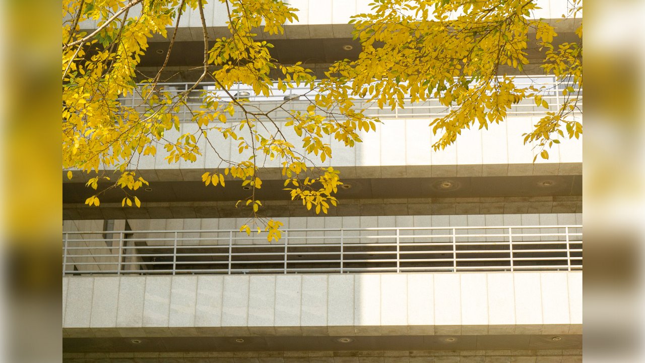 SDU's Four Seasons in Vibrant Hues