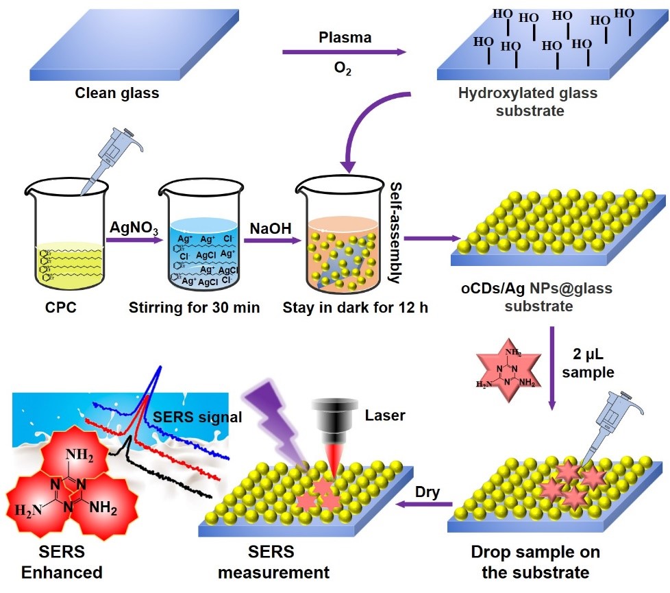 Professor Han Lin's Team Made New Progress in Raman Technology and Its Application