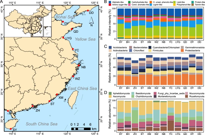 SDU Researchers Reveal Ecological Drivers for Intertidal DOM Chemodiversity 
