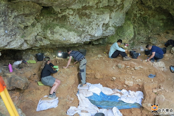 SDU Archaeology Team Uncovers Ancient Fossils in France