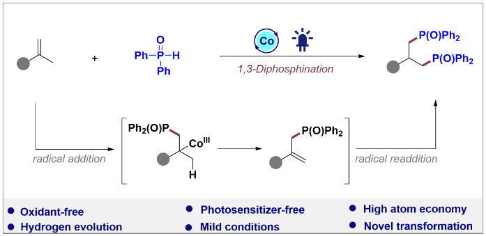 Professor Shi Dayong's Team Has Made New Progress in Green Synthesis of 1,3-Diphosphine Compounds