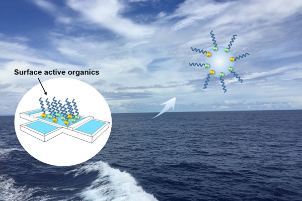 Prof. Du Lin's Research Group Make New Progress in the Field of Marine Aerosols