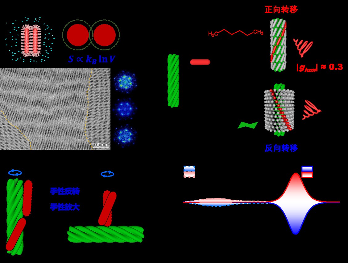 The Colloid and Interface Chemistry Team Gains A Series of Research Advances in the Study of Colloidal Dispersion Systems