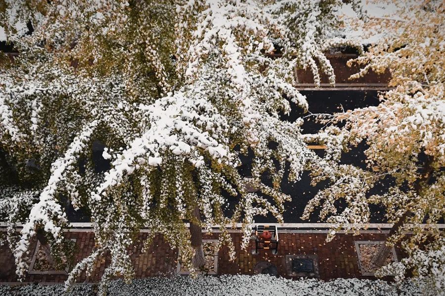 Scenery at Shandong University after Snow