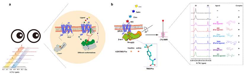 Professor Sun Jinpeng’s Research Group Made Progress in the Study 