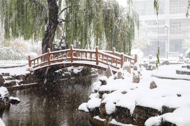 First Snow Turns SDU into a White Wonderland