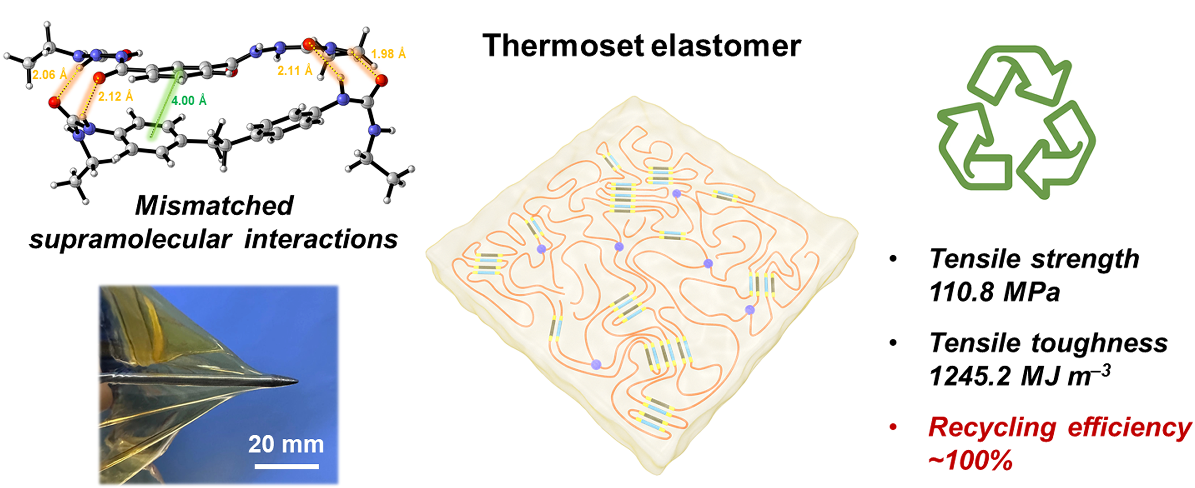 Professor Wang Xu's Group Reports an Ultratough and Reversibly Cross-Linked Polymer Network