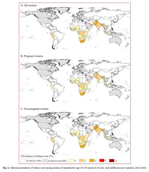 Professor Xi Bo's Team Published Data on the Prevalence of Tobacco Use and Second-hand Smoke Exposure Among Women in Low and Middle-income Countries