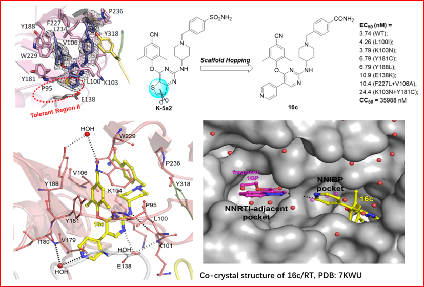 The Research on the Novel HIV-1 NNRTIs Discovered by Professor Liu Xinyong’s Group Was Published on Journal of Medicinal Chemistry