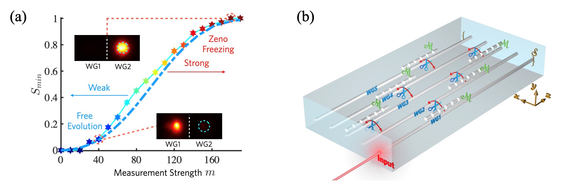 Professor Chen Feng's Team at The School of Physics Has Achieved Zeno Dynamics Control in Integrated Photonics Systems