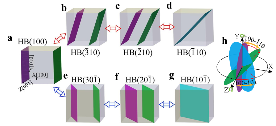 New Results of Gao Ning's Group Published in Nature Communications