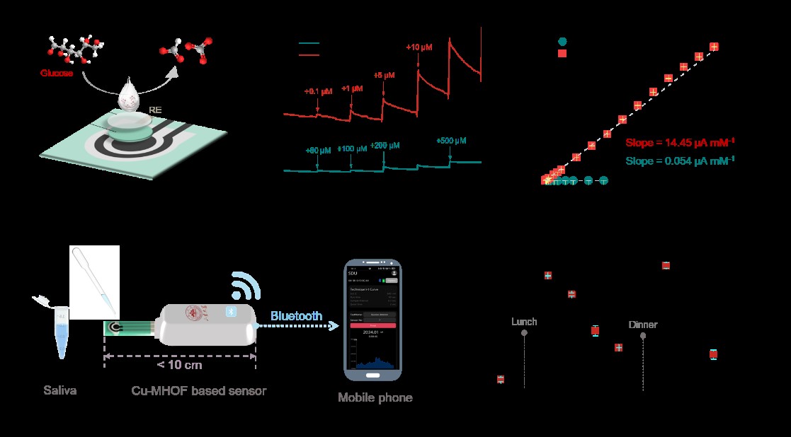 Professor Cai Bin's Team Made New Progress in Glucose Electrochemical Sensor