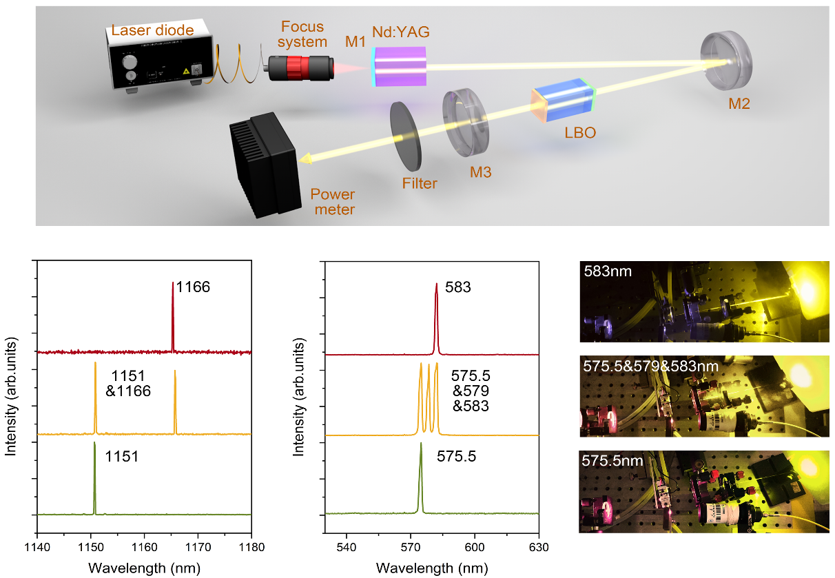 Prof. Liang Fei and Prof. Yu Haohai’s Team Achieves Yellow Lasers in Phonon-Coupled Laser Crystals