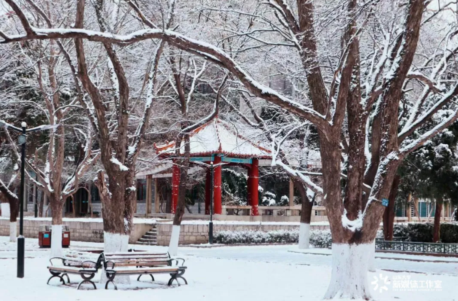 Discover Winter Beauty of Shandong University After Snowfall